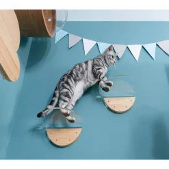 MYZOO Modern Round Lack Clear Wall Mounted Cat Shelves With Transparent Board - 1 Piece -PetPals Group shop 6288786 ALT3